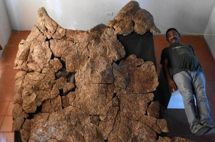 Stupendemys, η γιγάντια χελώνα με μέγεθος αυτοκινήτου που έζησε πριν από εκατομμύρια χρόνια