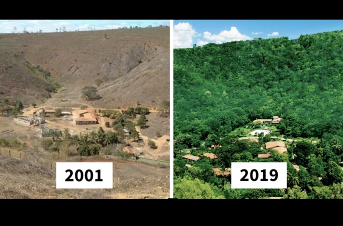 Φωτογράφος και η γυναίκα του φύτεψαν 2 εκατομμύρια δέντρα σε 20 χρόνια και επέστρεψαν πίσω ακόμη και τα ζώα